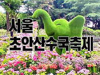 서울 초안산 수국축제..
