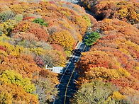 너무도 멋찐 가을단풍