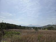2026년4월19일(일)디딤산..