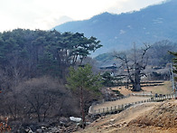 천태산 삼신할멈