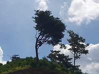 마동임도 라이딩 사진