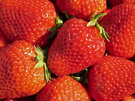 고당도 새콤달콤 설향 딸기