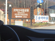 20.11.08 성황림..