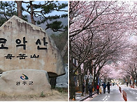 308차 명산산행 ..