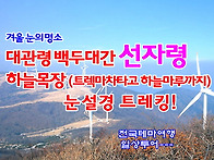 2025-02-01(토) 대관령 ..