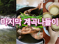 🌈 선거날 휴일 무더위 계곡 ..