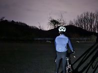 화욜 야라 바이러스~