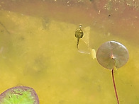 한가한 휴일 오후