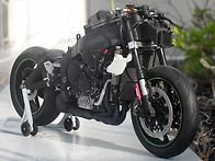 1/9 Kawasaki Ninja ZX-10RR