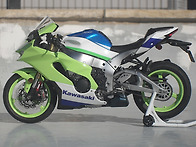 1/9 Kawasaki Ninja ZX-10R