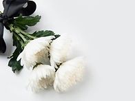 동시인 권오삼 선생님 별세..
