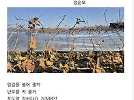 노모의 손 / 정순오