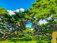 [나홀로 우리 땅 걷기] ..