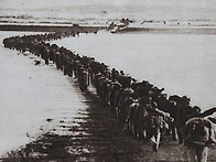 [명장 : 한국전쟁의 장군 ..