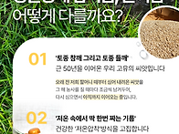 26년 국산 햇참깨 수확기념..