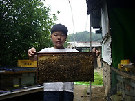 믿고 드셔도 될만한 꿀(아..
