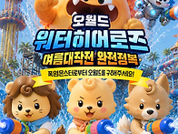 내일부터 오월드 여름축제..