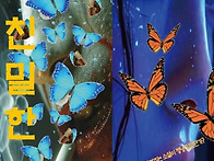 친밀한 배신자/2025.11..