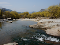 산수화