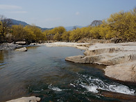 산수유2