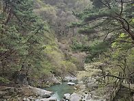 지리산 구룡계곡(4/12)-..