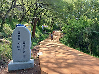 황령산 이색 명소 김소월 ..