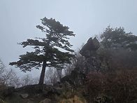 지리산