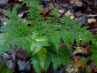 이름이 뭘까요?