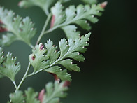 이름 좀 알려주세요