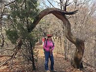 4월11일 양주 노고산 트레..