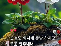 따뜻한 하루