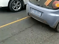 신기하고 황당한 ..