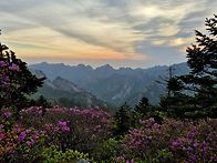 서~락의 흔적 몇장입니다