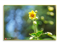 오늘 동산에 올라가 보니