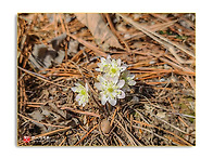 오랜만에 동산에 올라가 ..