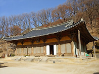 양택혈 팩트 체크