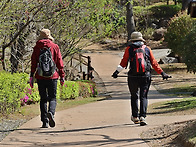 야생화 탐방ㅡ애기똥풀/아..