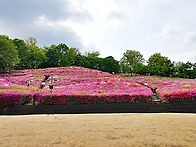 군포 철죽동산