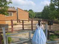 전주 하늘