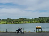 충주 국제조정경기..