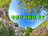2026.5.8.-9. 서리산 축..