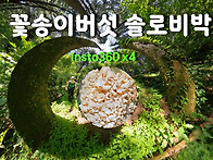 2025.7.11.-13. 꽃송이..
