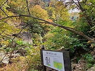 설악산 등선대(흘림골-주전..