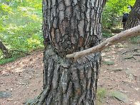 북바위 산 둘째 날