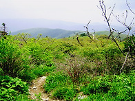 5월25일 가리왕산