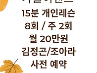 개인레슨 8회20만원