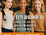 업스타일&#183;드라이&#183;혼주헤..