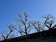 3월 서울 나들이