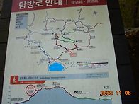 내장산 단풍[ 25.11.6]