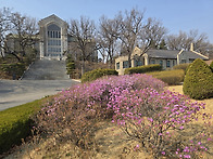 개화 / 이화여자대학교 / 26春